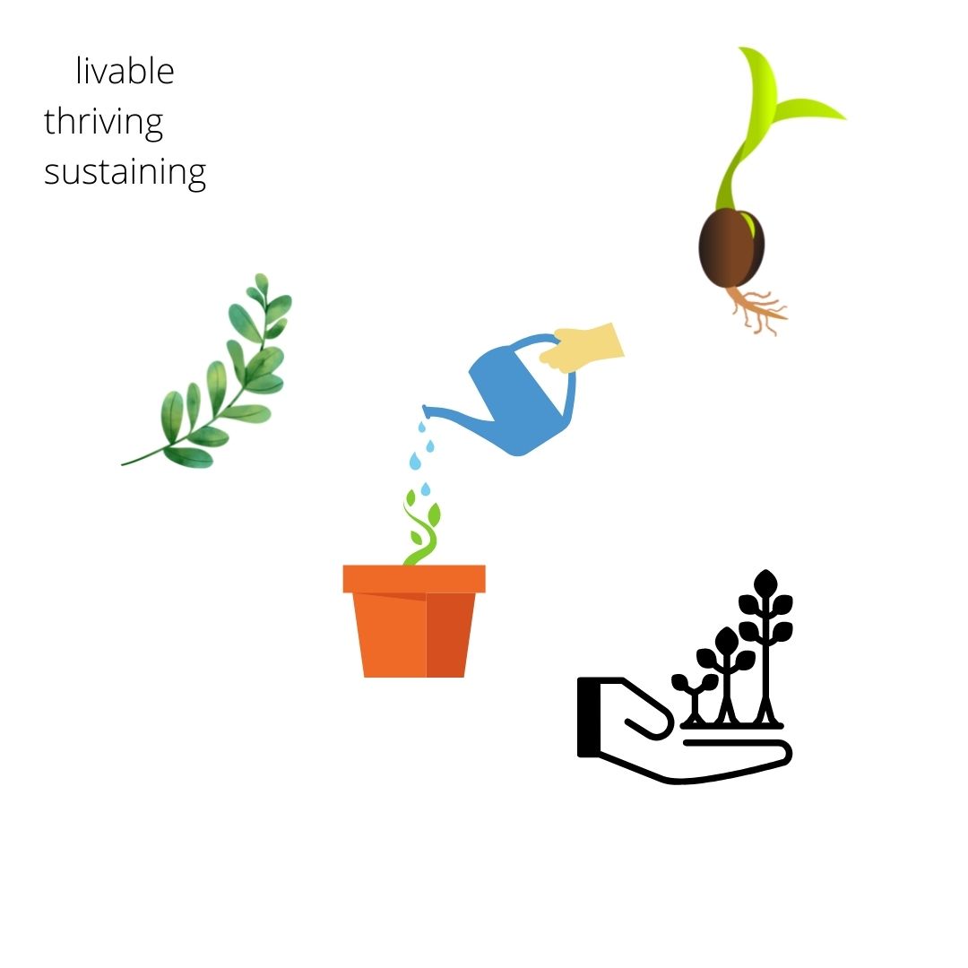 Plant images and growth for brainstorming